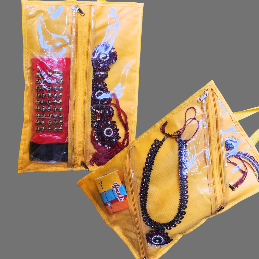 Bharatanatyam Jewelry & Costume Organizer Bag