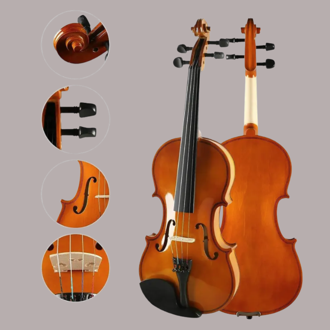 4/4 Classical (Modern) Violin With Bow, Rosin and Hard Case