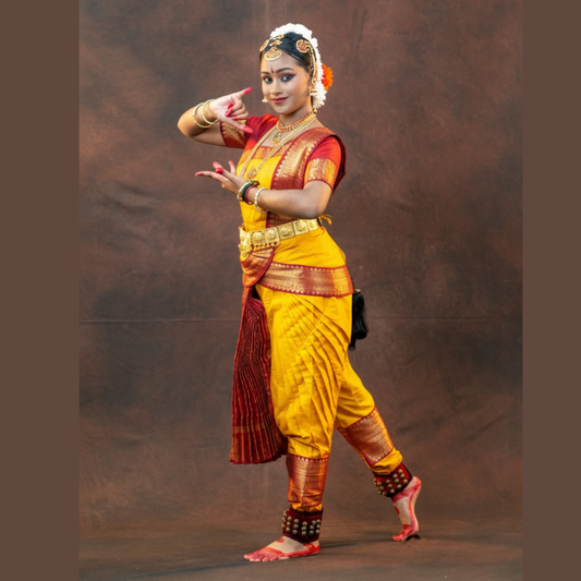 Customized Bharatanatyam Costume in Art Silk Material